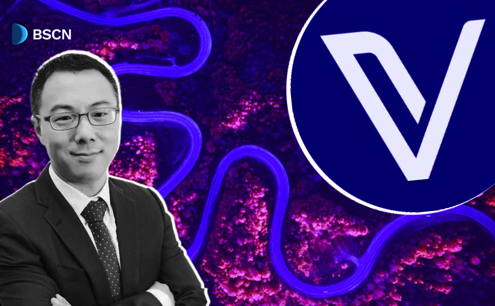 How Has VeChain Progressed with Its Renaissance Roadmap?