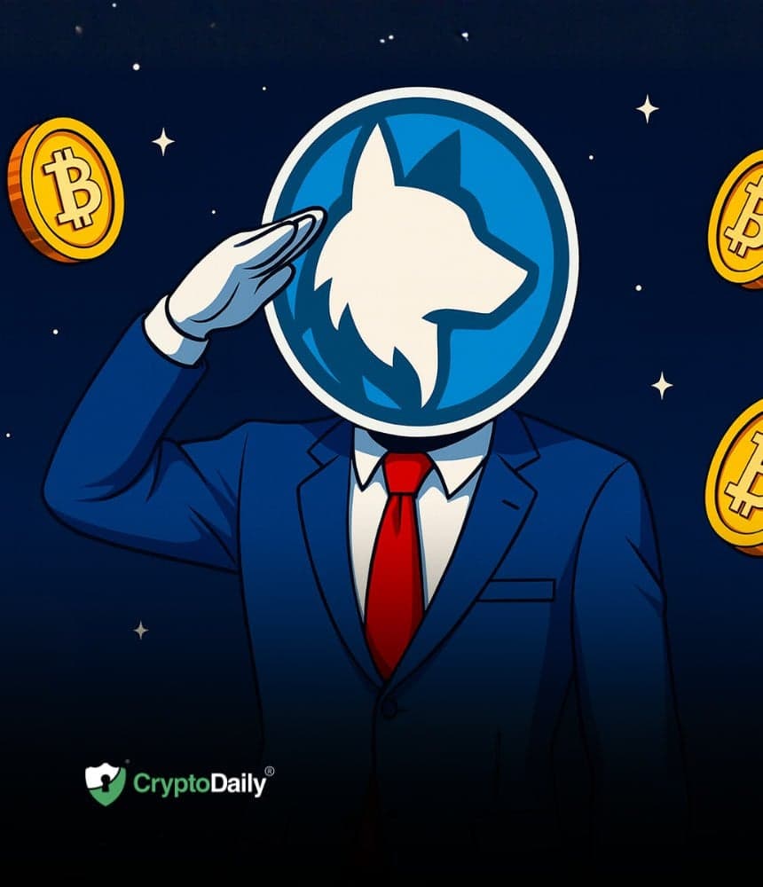 $0.00023298 Next For Husky Inu As Crypto Market Makes Stunning Recovery